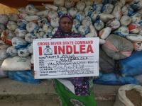 NDLEA Nabs 45-Year-Old Woman, Seize Over 1.1 Tonnes Of Cannabis In Cross River