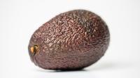 Peru’s 2026 Hass Avocado Exports to China Forecast at 43,822 Tons