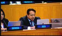 India Urges UN Rights Bodies to Avoid Politicisation, Selectivity