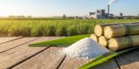 Celebrating National Real Sugar Day: Louisiana’s Sweet Tradition