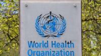 WHO Leadership Candidates Named as Cairo Health Meeting Opens