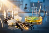 Study: Vanillin From Vanilla Shows Antioxidant, Antibacterial Potential for Wound Care