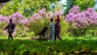 Do You Really Need 10,000 Steps a Day? A Doctor’s Guide to Walking in Prague