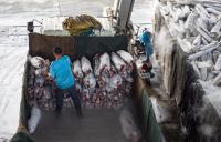US State Department lists persistent human trafficking concerns in Taiwanese, Indonesian commercial fishing sectors