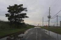 Alabama coastal restoration project could inform Louisiana work on lower insurance rates