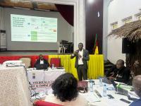 Congo Basin: WWF pushes new financ...