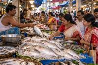 Padma Hilsa Skips Durga Puja for First Time Since 2019 Amid India-Bangladesh Trade Impasse