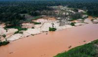 Study: Global deforestation slowed in 2025 but surged in Congo basin