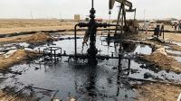 Niger’s Goumeri W-8 oil blowout sparks regional debate over energy autonomy