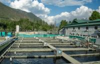 Khyber Aquaculture receives India food-safety approval as it plans sales launch and retail store