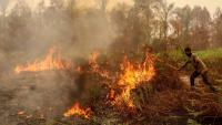 Indonesia wildfires choke Singapore, force East Timor schools shut