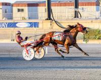 DSBF Final: Salty Beaches tops 2-year-old pacer field