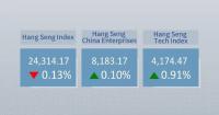 Hong Kong's Hang Seng Index closes 0.13 pct lower
