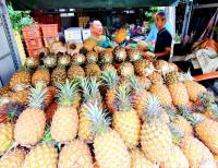 Taiwanese pineapples to be exported to US next year