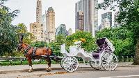 New York’s romantic carriage rides near final stop as mayor Zohran Mamdani prepares ban vote