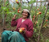 Vegetable farming brings financial independence to Maya and her family