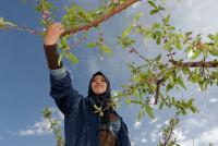 HPC calls for protecting agricultural land, supporting rural women