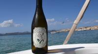 From Cabernet to Chardonnay — a 15-bottle stash ahead of the holidays is $79 + shipping