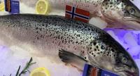 UCN proposes new fresh Norwegian Atlantic salmon, DDP Poland price assessments