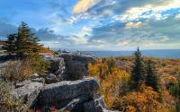 Millions of People Enjoy West Virginia’s National Forests. Trump Wants to Open Up Logging Just Down the Road.