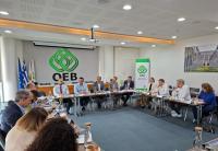 Cyprus and Germany seek energy storage and electric mobility partnerships