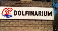 Dutch gov't bans Dolfinarium from breeding dolphins, but can keep doing shows