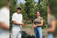 Argentina’s ultra-early cherry project yields promising results in fourth year