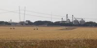 Brazil opens 700 agricultural markets since 2023