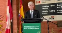 HL:Ottawa investing $50 million in New Brunswick high-tech forestry hub