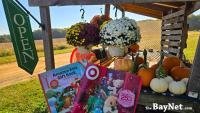 Trick, Treat Or Gift Receipt? Holiday Mail Is Already Here In Southern Maryland