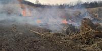 Tennessee burn permits start soon and they aim to prevent wildfires, officials say