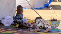 Climate change, drone attacks exacerbate Sudan's humanitarian crisis