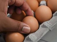 Three children arrested after egg-throwing incident