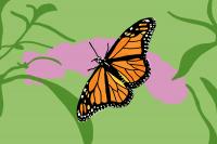 Monarch Butterfly tagging at the Arboretum: How community involvement helps environmental data collection