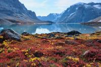 Trump Announces Major Greenland Oil and Mineral Exploration Plans Following Arctic Defense Agreement