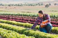 Food 2040 and the challenge of scaling sustainable food systems