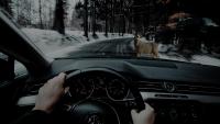 Iowa Drivers Face Greater Deer Collision Risks This Fall