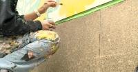 Rhinelander Chamber of Commerce unveils new downtown mural for tourism boost