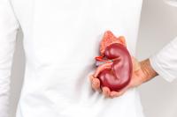 Bosnia urged to accelerate progress towards Eurotransplant membership