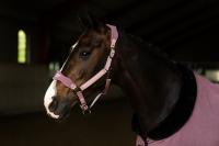 Equestrian Stockholm launch collection in aid of breast cancer charity
