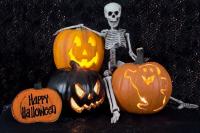 Halloween 2026: Where to celebrate spooky season in South Africa