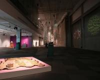 Indigenous artists pull from UCalgary exhibit after denialist debate