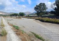 Thousands of fish die as Guadalfeo riverbed runs dry on Costa Tropical