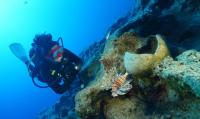 World's oldest shipwreck found off Turkish coast, archaeologists say