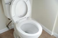 Massachusetts Does Not Like It When You Flush These Items