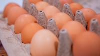 Australian watchdog launches legal action over “egg cartel”