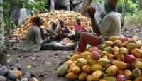 FG Seeks Bigger Global Market For Nigerian Farm Produce At 2027 Trade Fair