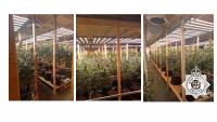 Inside the £1.2million cannabis farm as police smash 'sophisticated set up' today