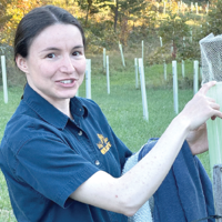 Conservation -- One property at a time