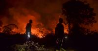 Indonesia’s haze spikes Singapore pollution, shuts East Timor schools